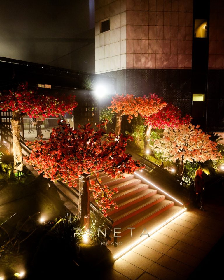 Pineta Milano – foto